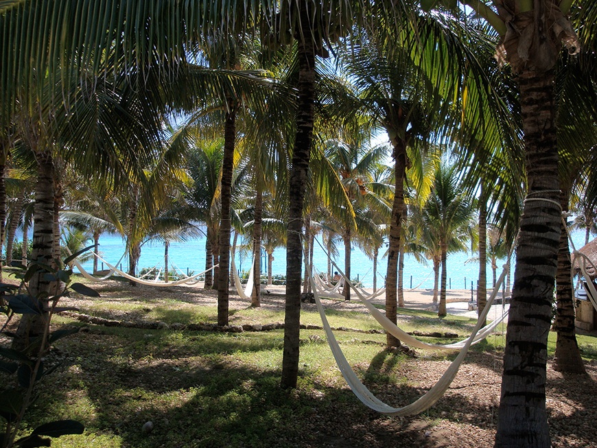 Isla Mujeres Sea Life Discovery Plus