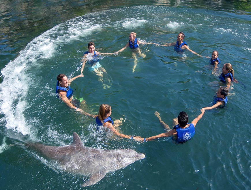 Dolphin Inclusive Primax and Xelha