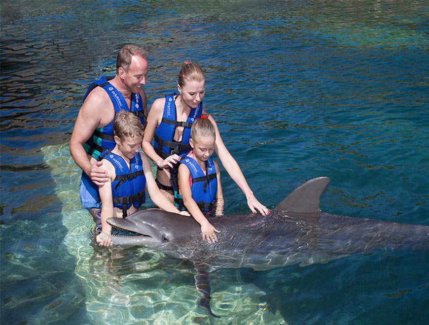 Dolphin Interax Tour