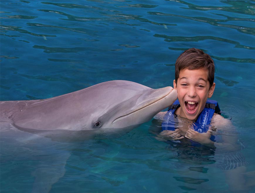 Dolphin Ride and Xelha Tour